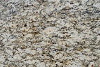 SANTA CECILIA JUPARANA 3CM LOT 3P452565CL 127X79